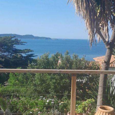 F3 Rdc Villa Vue Mer 180 Face A La Pointe De Giens Carqueiranne Buitenkant foto